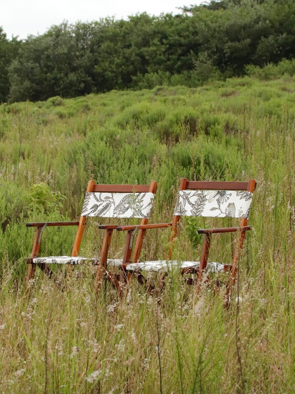Safari Chair Set of 2